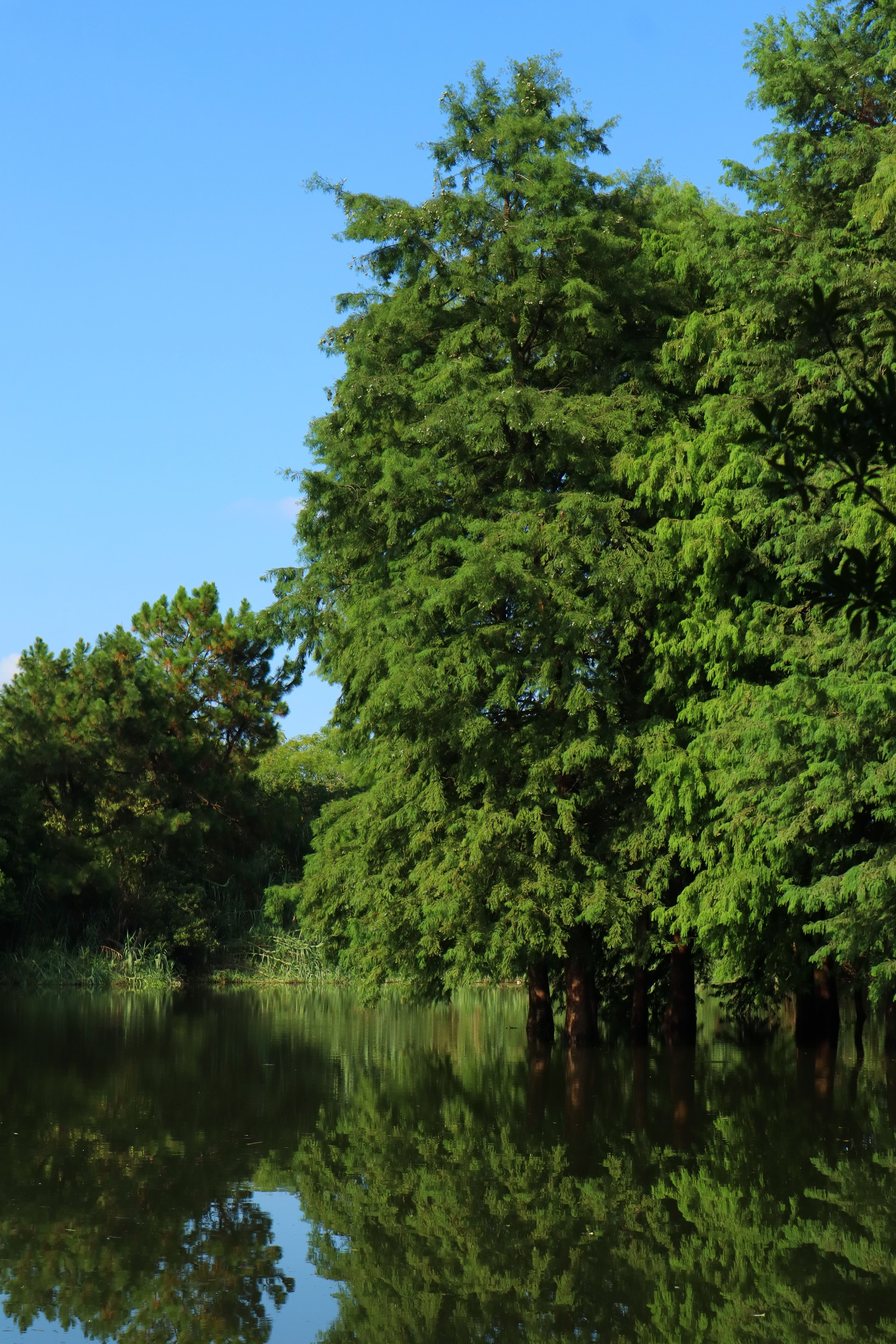 Environment
